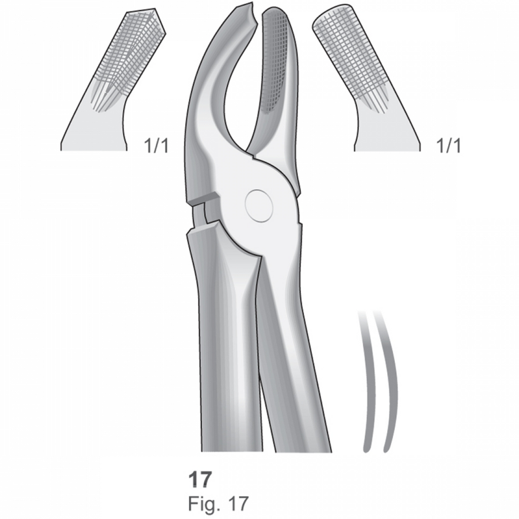 Extracting Forceps English Pattern – Cutting Edge Surgical Instrument