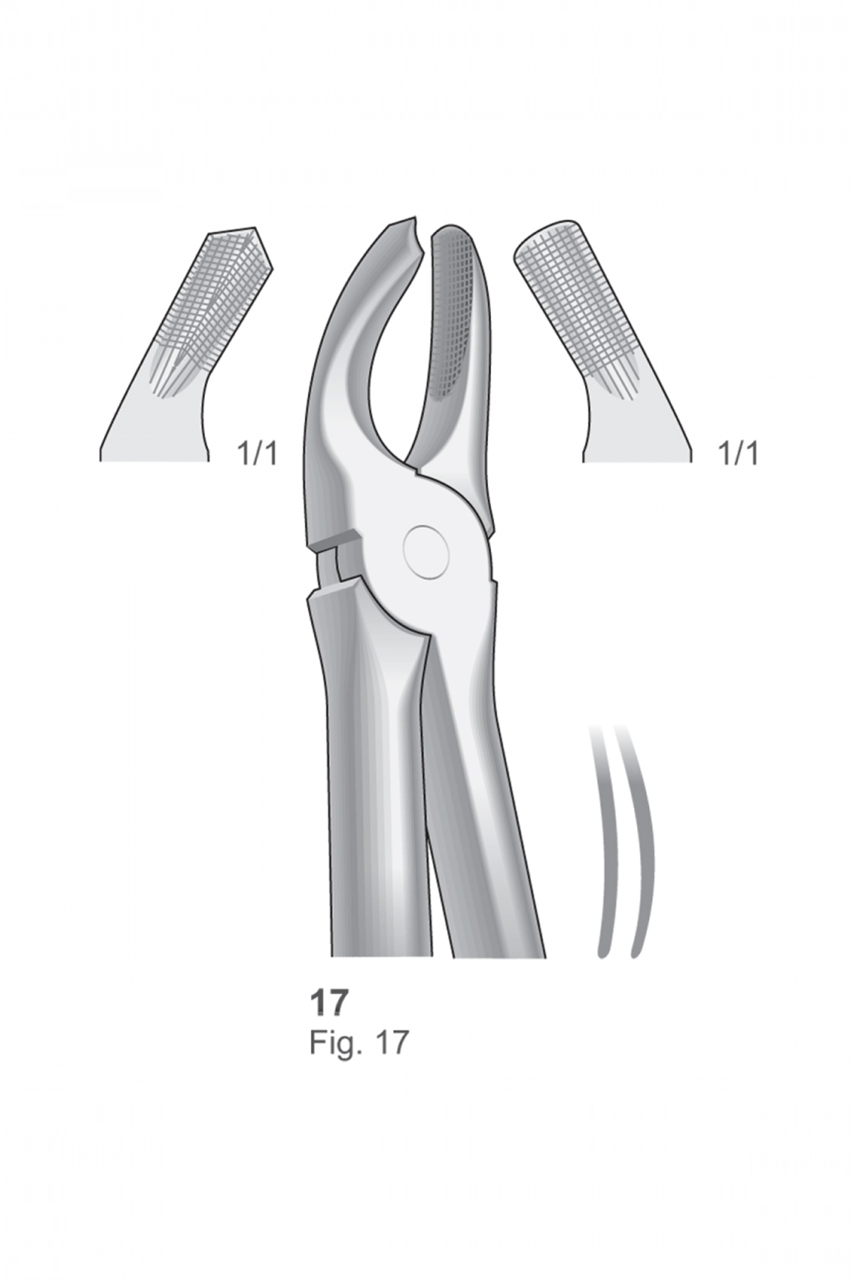 Extracting Forceps English Pattern