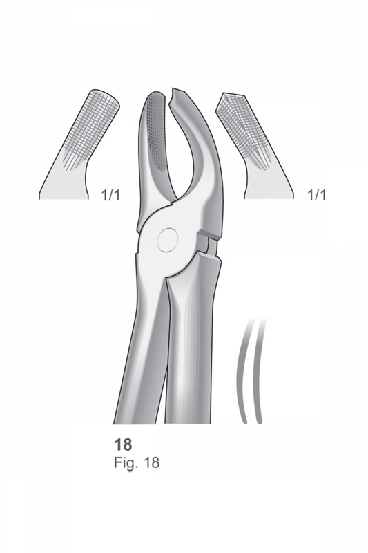 Extracting Forceps English Pattern