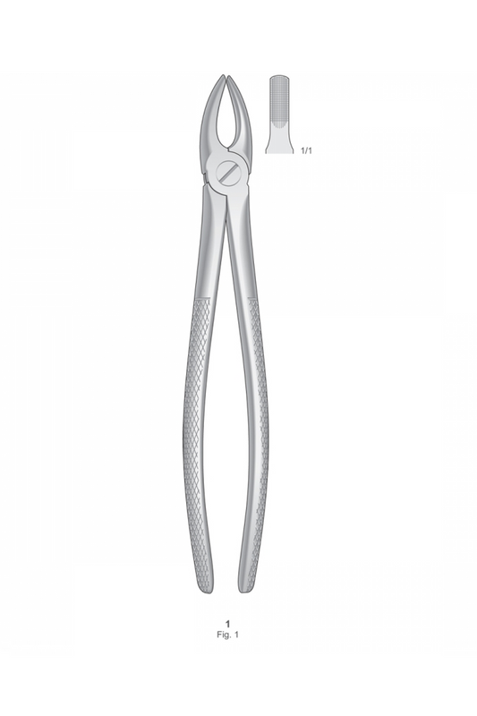 Extracting Forceps English Pattern