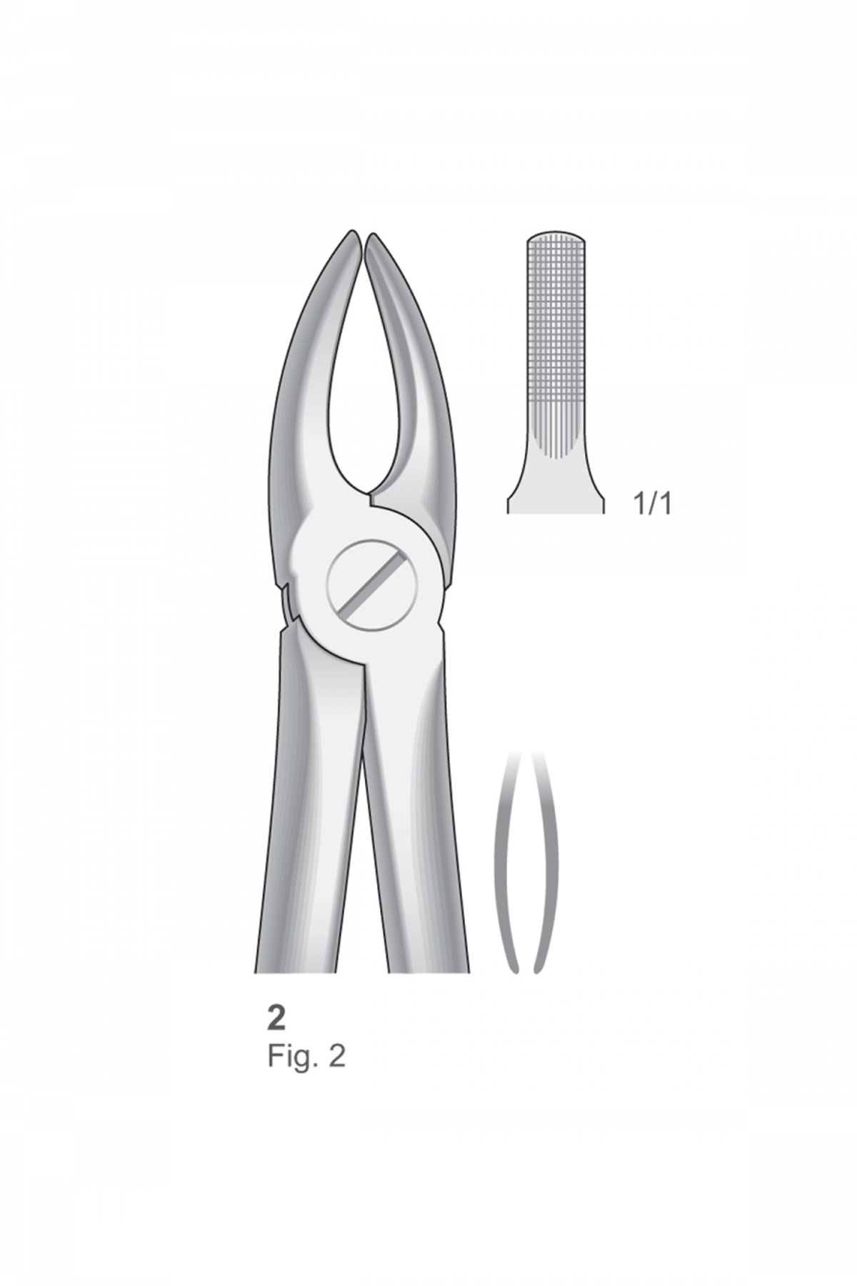 Extracting Forceps English Pattern