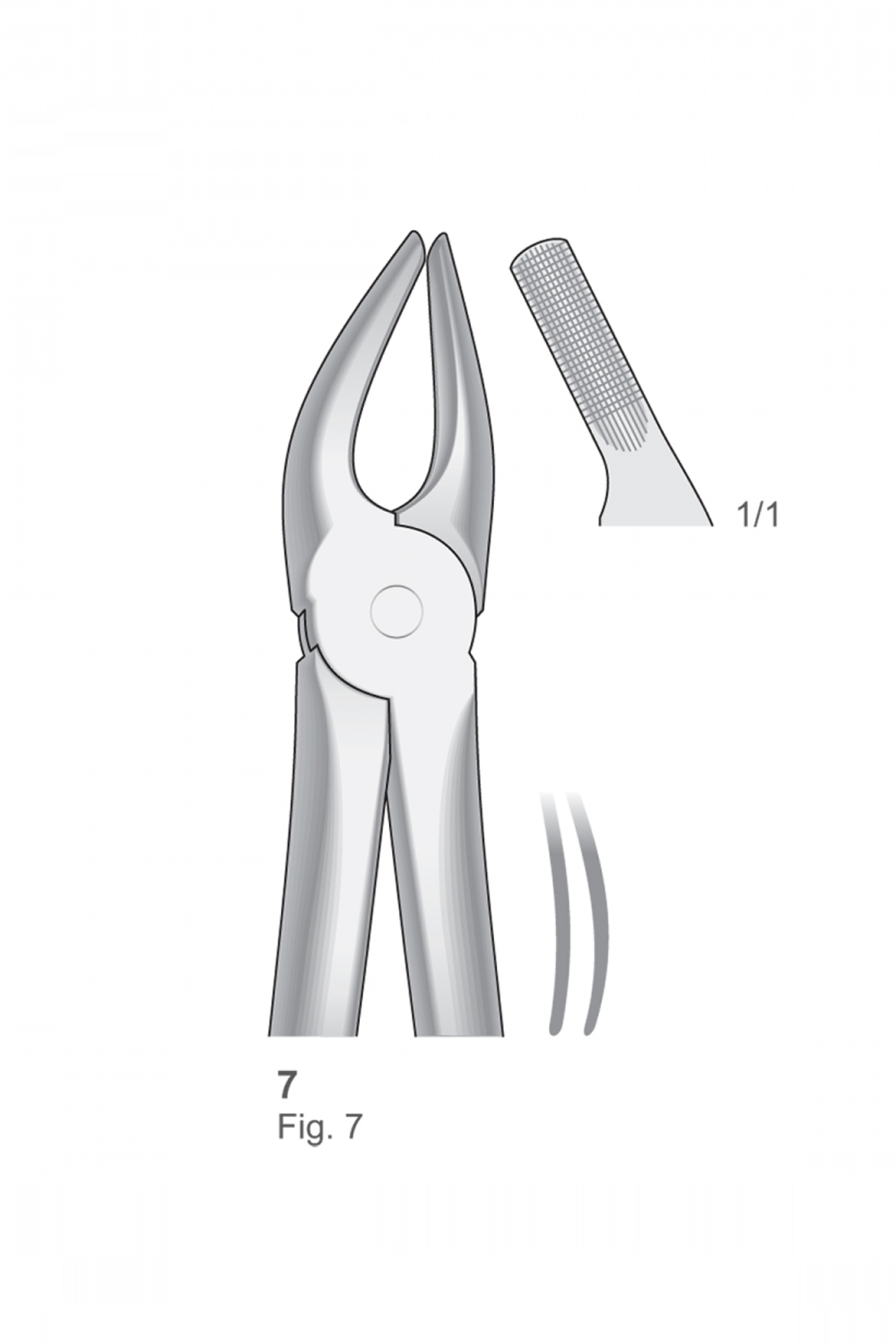 Extracting Forceps English Pattern