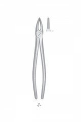 Extracting Forceps English Pattern